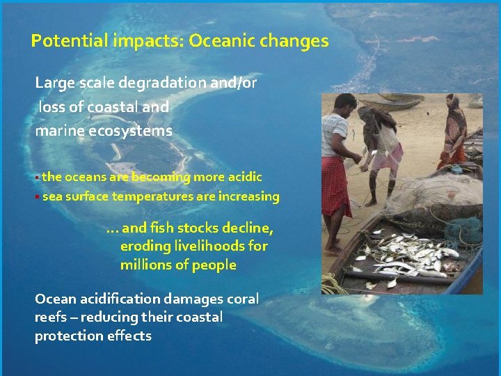 Potential impacts: Oceanic changes Large scale degradation and/or loss of coastal and marine ecosystems