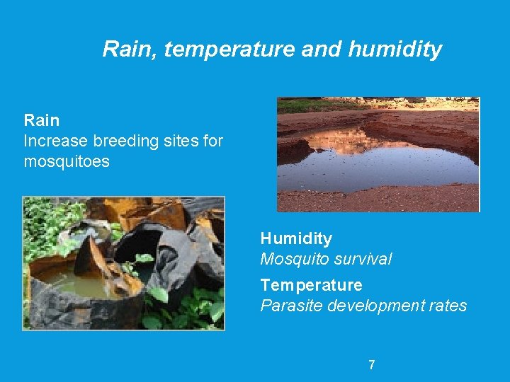 Rain, temperature and humidity Rain Increase breeding sites for mosquitoes Humidity Mosquito survival Temperature