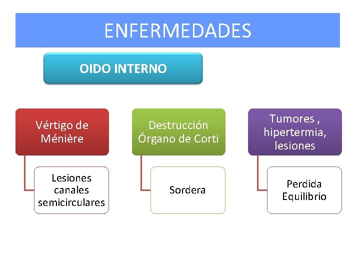 ENFERMEDADES OIDO INTERNO Vértigo de Ménière Lesiones canales semicirculares Destrucción Órgano de Corti Sordera