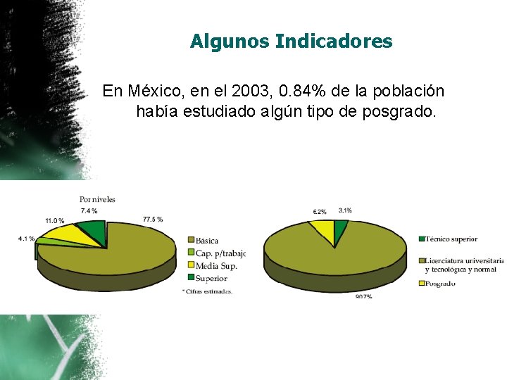 Algunos Indicadores En México, en el 2003, 0. 84% de la población había estudiado Algunos Indicadores En México, en el 2003, 0. 84% de la población había estudiado
