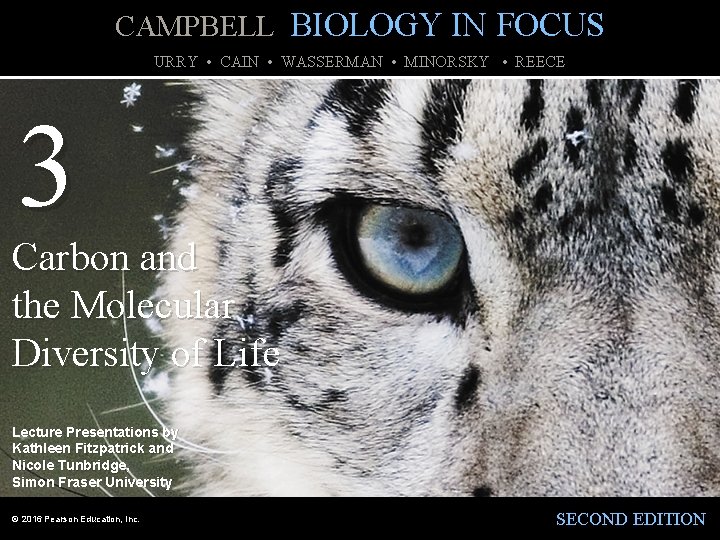 CAMPBELL BIOLOGY IN FOCUS URRY • CAIN • WASSERMAN • MINORSKY • REECE 3