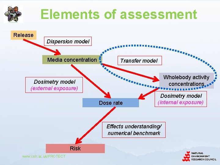Elements of assessment Release Dispersion model Media concentration Transfer model Wholebody activity concentrations Dosimetry