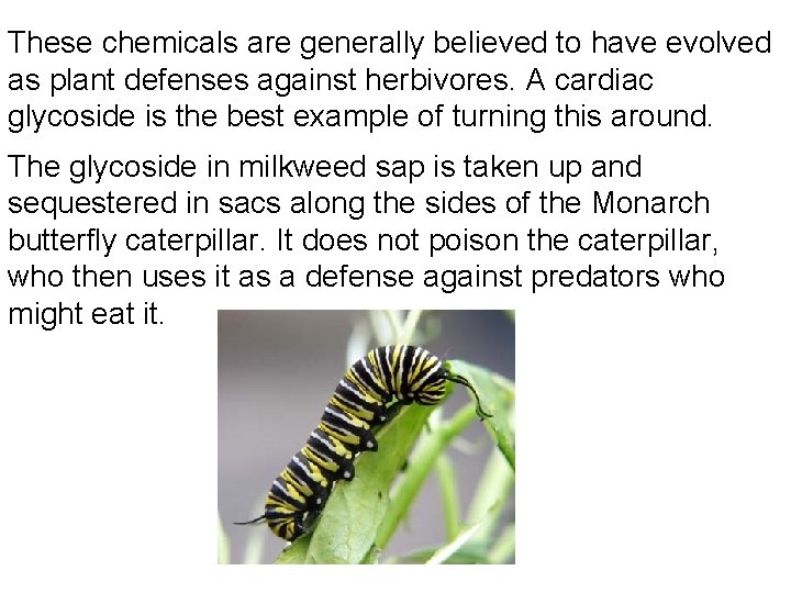 These chemicals are generally believed to have evolved as plant defenses against herbivores. A