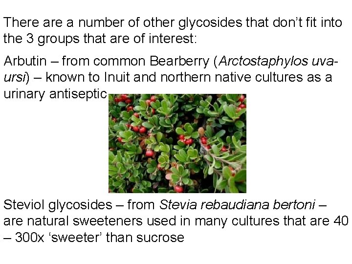 There a number of other glycosides that don’t fit into the 3 groups that