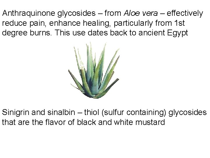 Anthraquinone glycosides – from Aloe vera – effectively reduce pain, enhance healing, particularly from