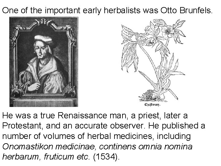 One of the important early herbalists was Otto Brunfels. He was a true Renaissance