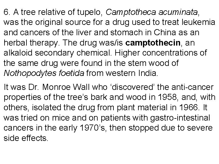 6. A tree relative of tupelo, Camptotheca acuminata, was the original source for a