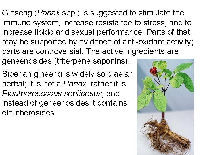 Ginseng (Panax spp. ) is suggested to stimulate the immune system, increase resistance to