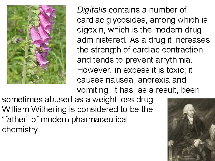 Digitalis contains a number of cardiac glycosides, among which is digoxin, which is the