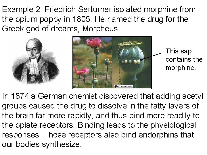 Example 2: Friedrich Serturner isolated morphine from the opium poppy in 1805. He named