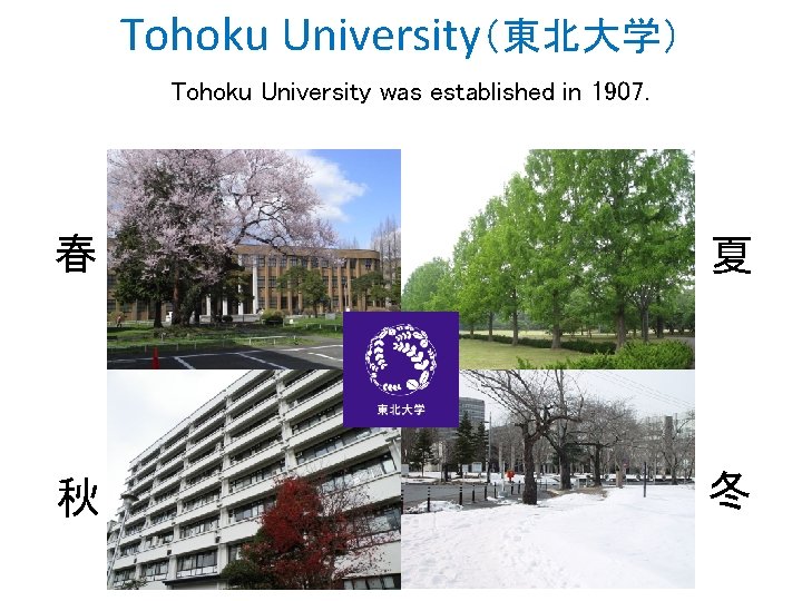 Tohoku University（東北大学） Tohoku University was established in 1907. 春 夏 秋 冬 