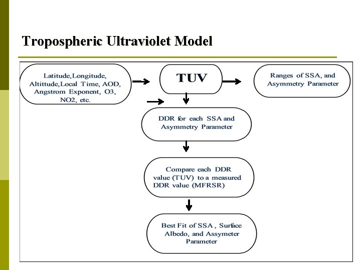 Tropospheric Ultraviolet Model 