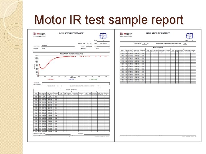 Motor IR test sample report 