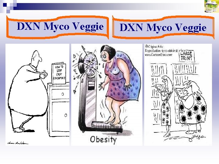 DXN Myco Veggie 