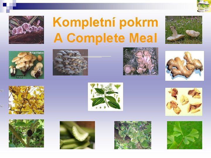 Kompletní pokrm A Complete Meal 