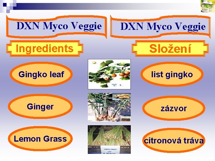 DXN Myco Veggie Ingredients DXN Myco Veggie Složení Gingko leaf list gingko Ginger zázvor