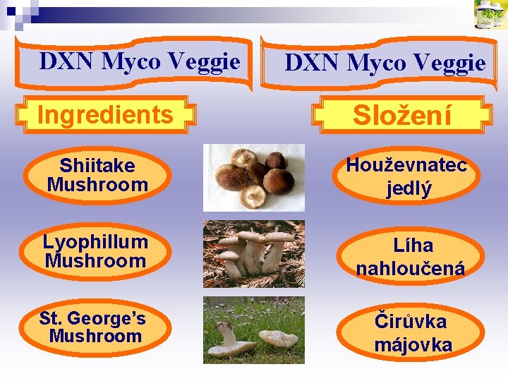 DXN Myco Veggie Ingredients DXN Myco Veggie Složení Shiitake Mushroom Houževnatec jedlý Lyophillum Mushroom