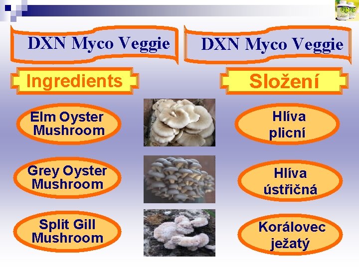 DXN Myco Veggie Ingredients DXN Myco Veggie Složení Elm Oyster Mushroom Hlíva plicní Grey