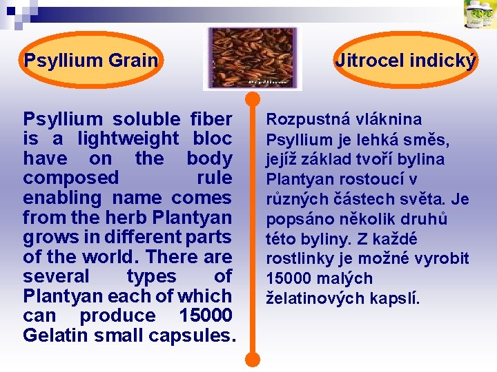 Psyllium Grain Psyllium soluble fiber is a lightweight bloc have on the body composed