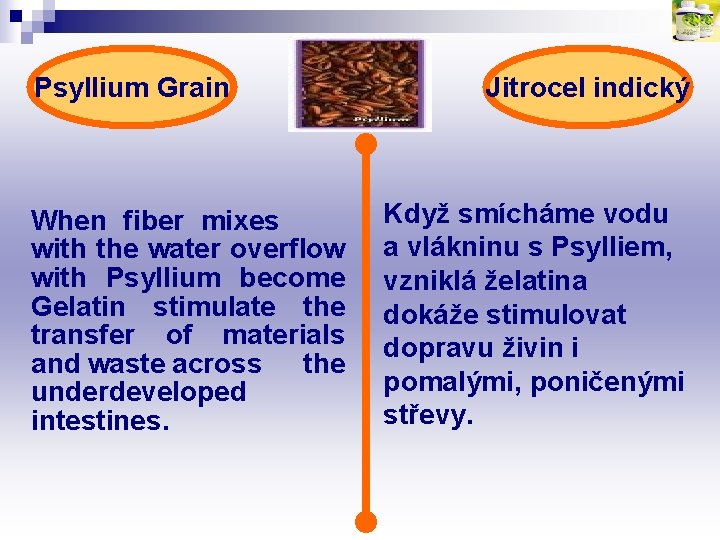 Psyllium Grain When fiber mixes with the water overflow with Psyllium become Gelatin stimulate