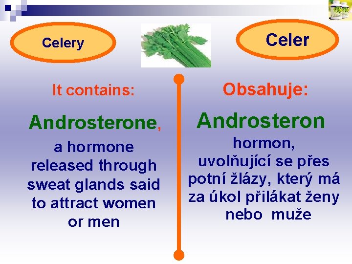 Celery Celer It contains: Obsahuje: Androsterone, Androsteron a hormone released through sweat glands said