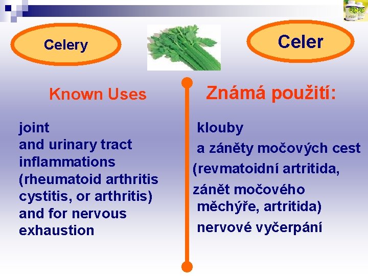 Celery Known Uses joint and urinary tract inflammations (rheumatoid arthritis cystitis, or arthritis) and