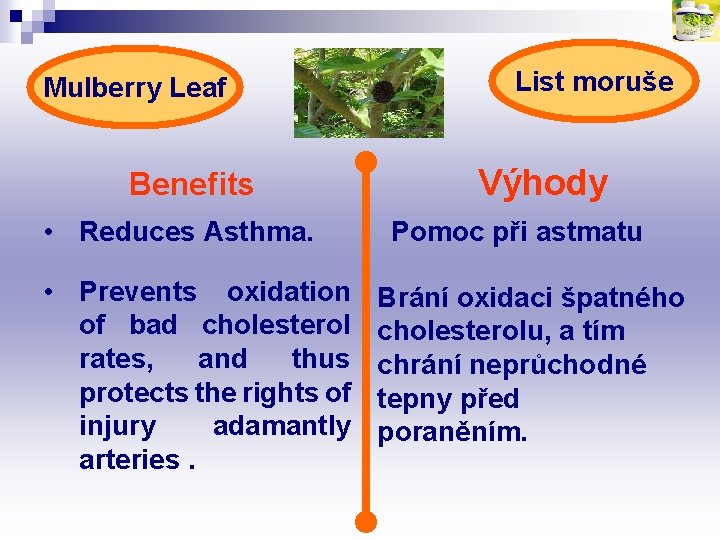 Mulberry Leaf Benefits • Reduces Asthma. • Prevents oxidation of bad cholesterol rates, and