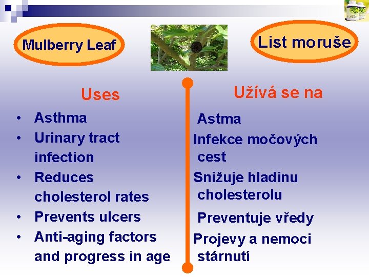 Mulberry Leaf Uses • Asthma • Urinary tract infection • Reduces cholesterol rates •