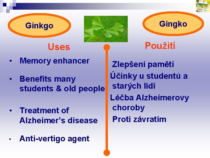 Ginkgo Uses • Memory enhancer Gingko Použití Zlepšení paměti Účinky u studentů a •
