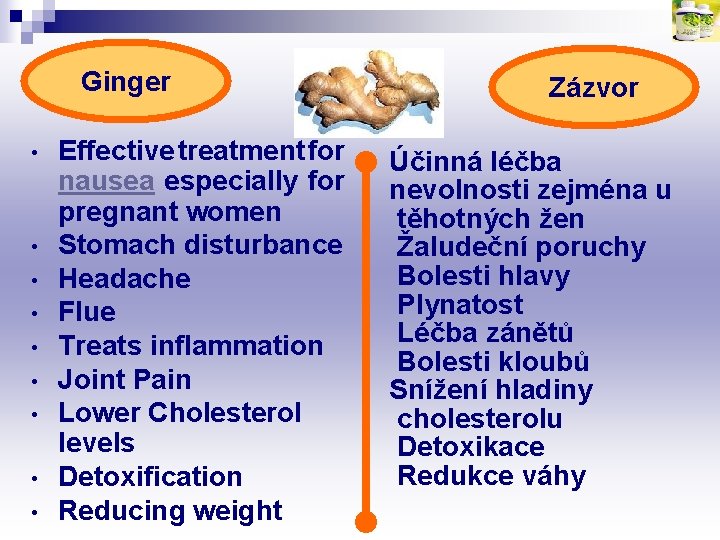 Ginger • • • Effective treatment for nausea especially for pregnant women Stomach disturbance