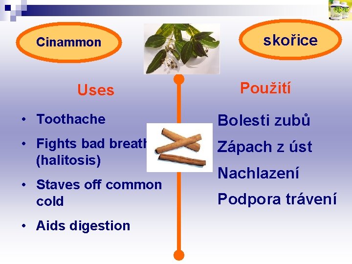 Cinammon Uses skořice Použití • Toothache Bolesti zubů • Fights bad breath (halitosis) Zápach