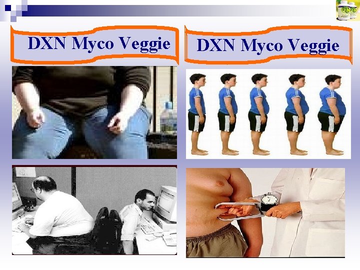 DXN Myco Veggie 