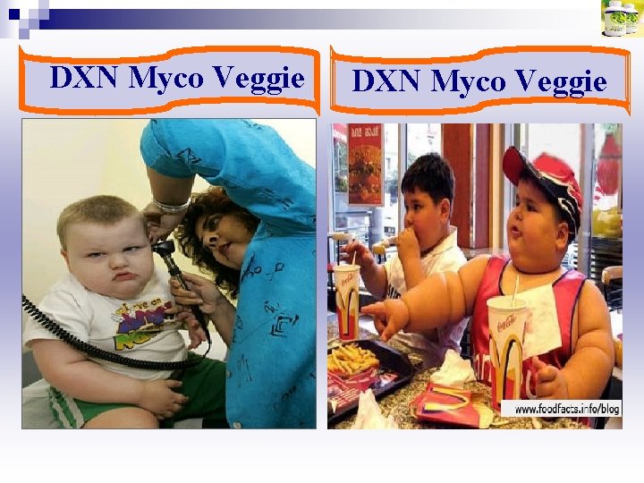 DXN Myco Veggie 