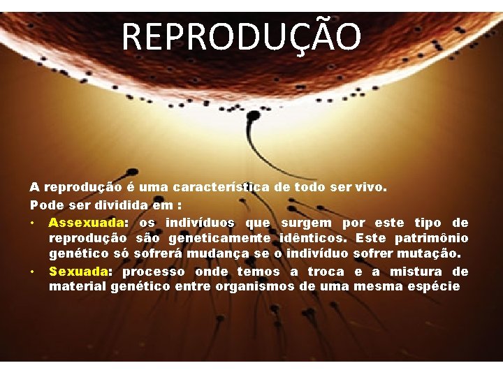 REPRODUÇÃO A reprodução é uma característica de todo ser vivo. Pode ser dividida em