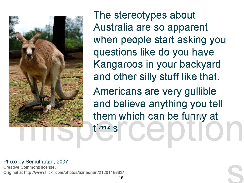 The stereotypes about Australia are so apparent when people start asking you questions like