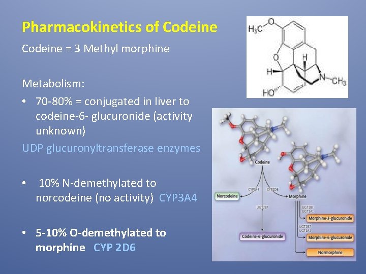 Pharmacokinetics of Codeine = 3 Methyl morphine Metabolism: • 70 -80% = conjugated in
