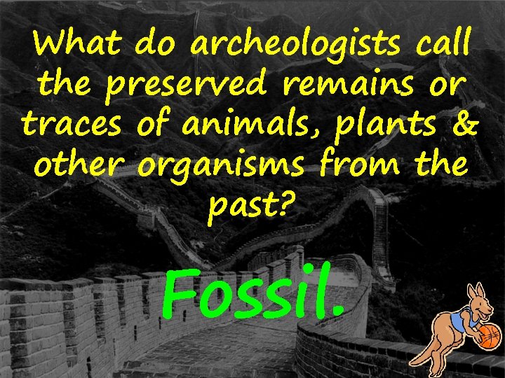 What do archeologists call the preserved remains or traces of animals, plants & other