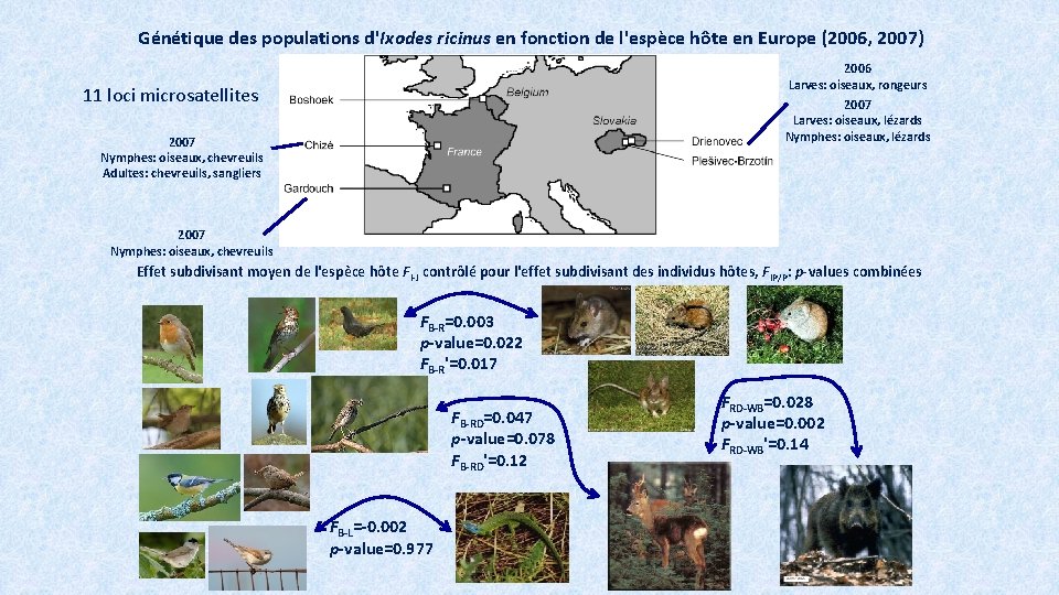 Génétique des populations d'Ixodes ricinus en fonction de l'espèce hôte en Europe (2006, 2007)