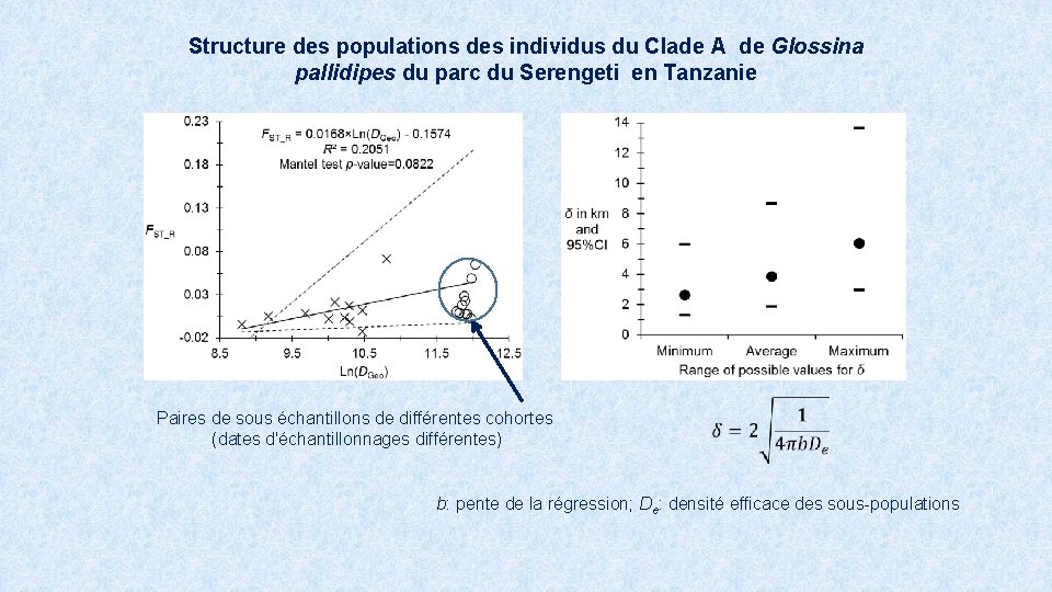 Structure des populations des individus du Clade A de Glossina pallidipes du parc du