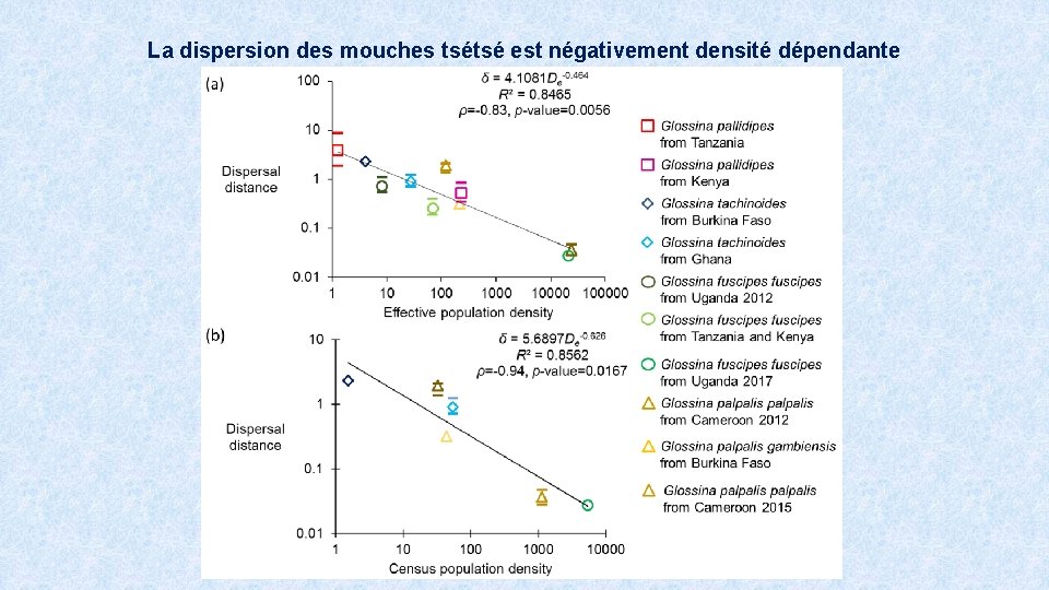 La dispersion des mouches tsétsé est négativement densité dépendante 