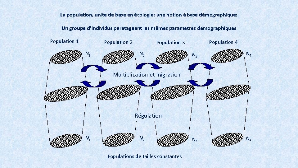 La population, unite de base en écologie: une notion à base démographique: Un groupe