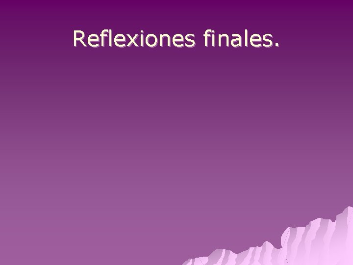 Reflexiones finales. 