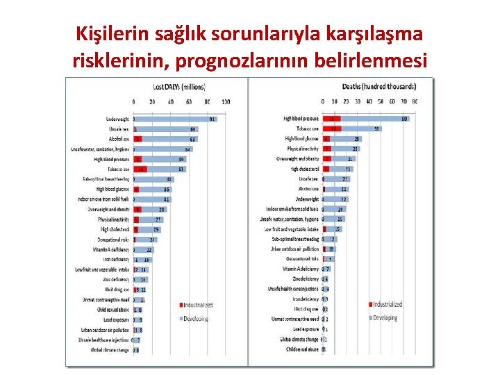 Kişilerin sağlık sorunlarıyla karşılaşma risklerinin, prognozlarının belirlenmesi 