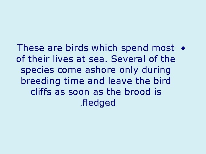 These are birds which spend most • of their lives at sea. Several of