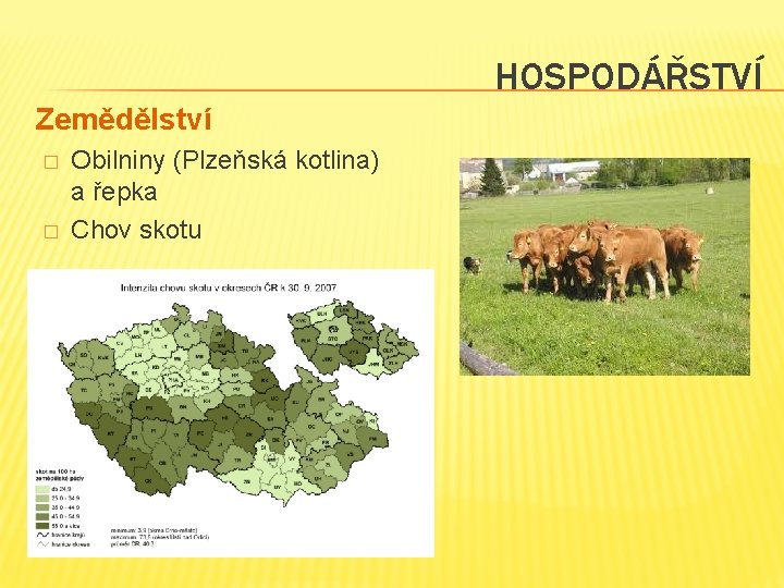 HOSPODÁŘSTVÍ Zemědělství � � Obilniny (Plzeňská kotlina) a řepka Chov skotu HOSPODÁŘSTVÍ Zemědělství � � Obilniny (Plzeňská kotlina) a řepka Chov skotu