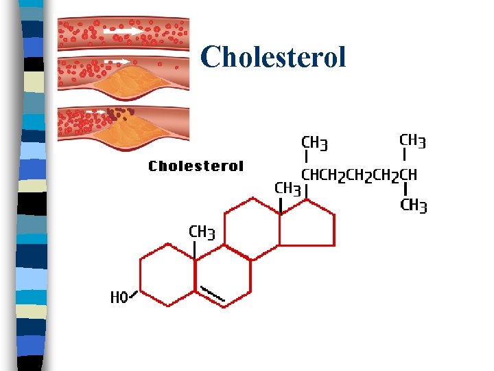 Cholesterol 