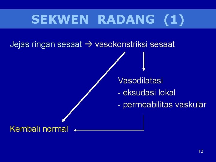 SEKWEN RADANG (1) Jejas ringan sesaat vasokonstriksi sesaat Vasodilatasi - eksudasi lokal - permeabilitas