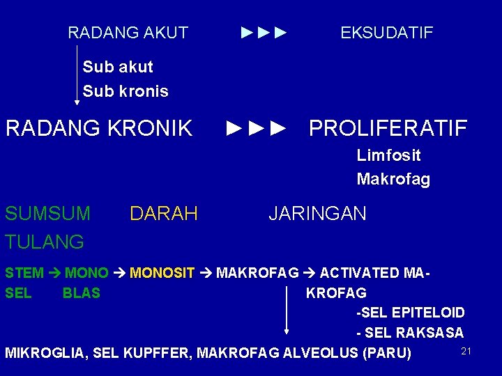 RADANG AKUT ►►► EKSUDATIF Sub akut Sub kronis RADANG KRONIK ►►► PROLIFERATIF Limfosit Makrofag