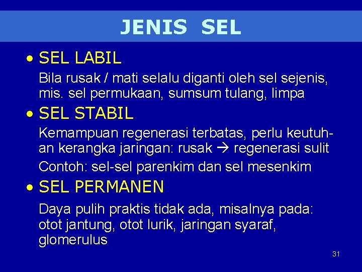 JENIS SEL • SEL LABIL Bila rusak / mati selalu diganti oleh sel sejenis,