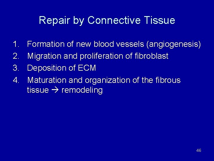 Repair by Connective Tissue 1. 2. 3. 4. Formation of new blood vessels (angiogenesis)